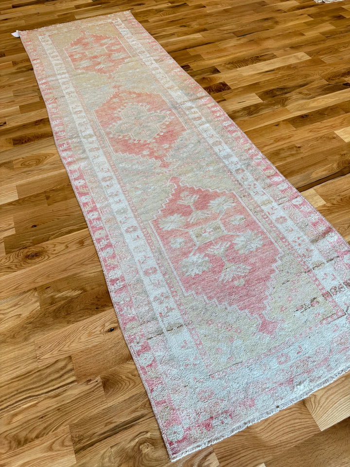 Anatolian Runner 3.2x10.2 - LillieKat Rugs