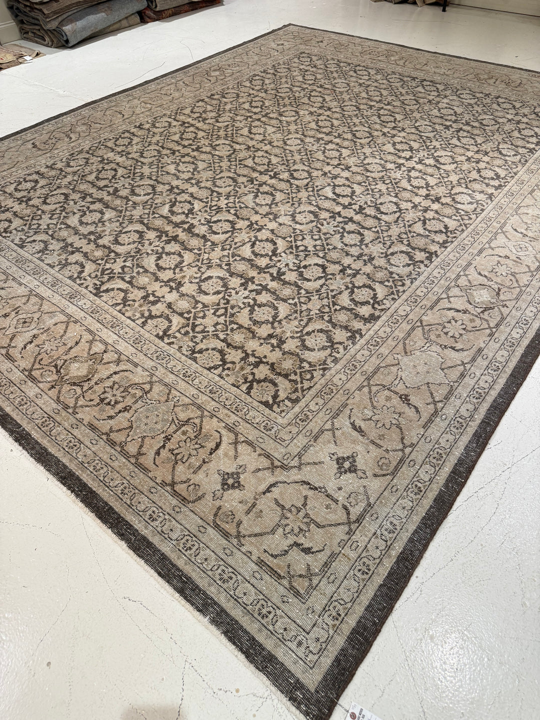 Malayer 10.3x13.5