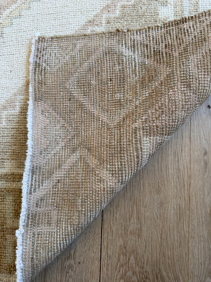 Anatolian Runner 3.5x10.5 - LillieKat Rugs