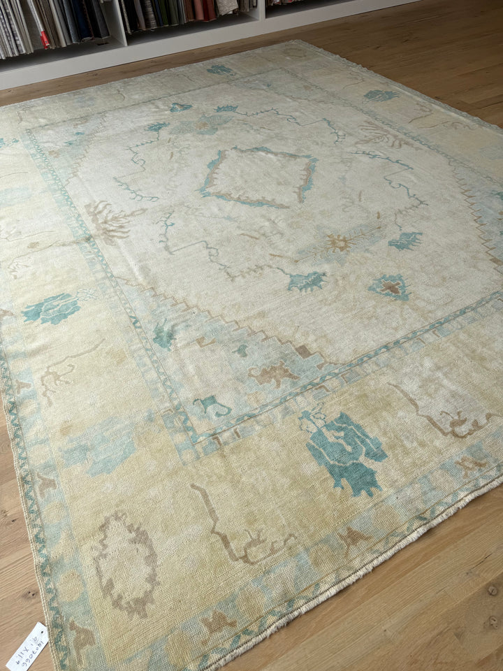Anatolian 9.1x11.9 - LillieKat Rugs