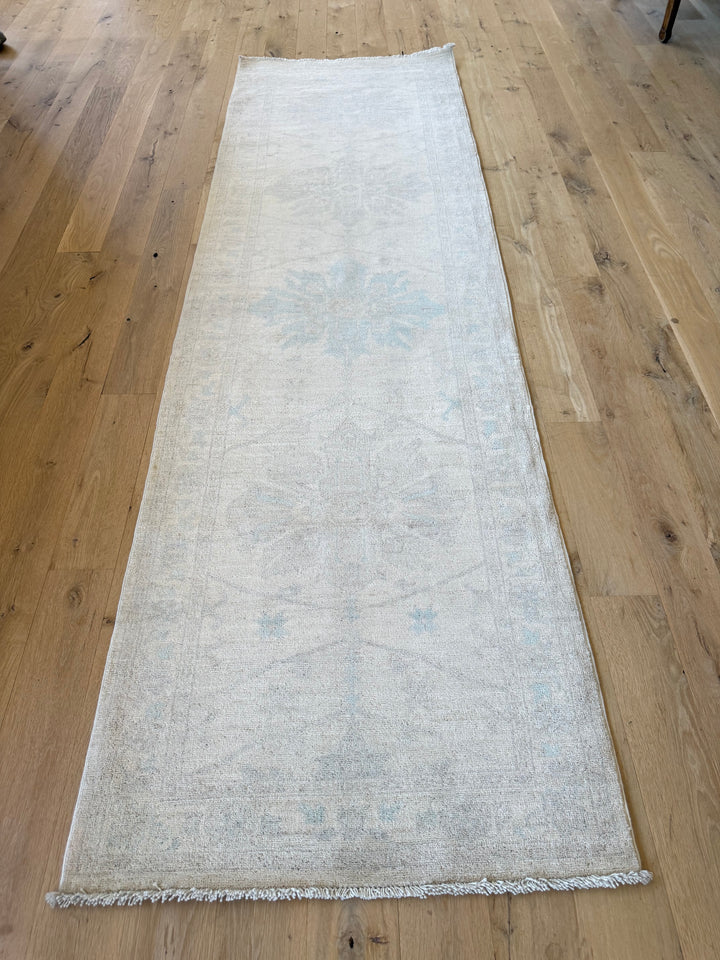 Peshawar Runner 2.9x9.5 - LillieKat Rugs