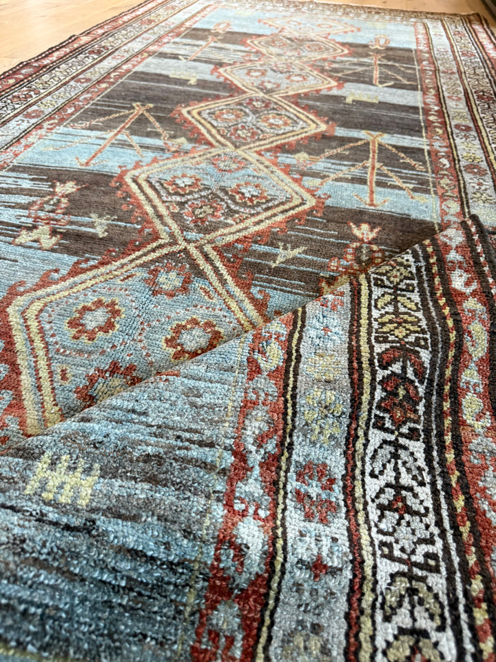 Hamadan Runner 3.11x9.0 - LillieKat Rugs