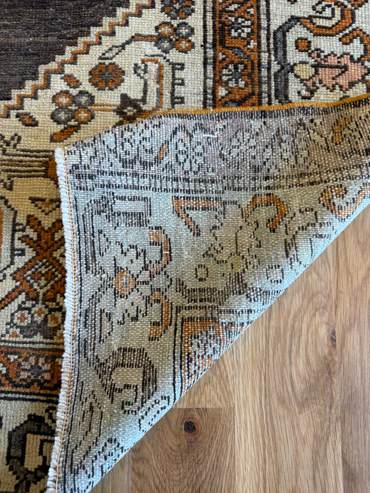 Malayer (Hamadan) 4.3x6.0