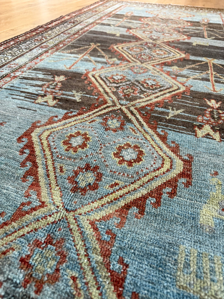 Hamadan Runner 3.11x9.0 - LillieKat Rugs