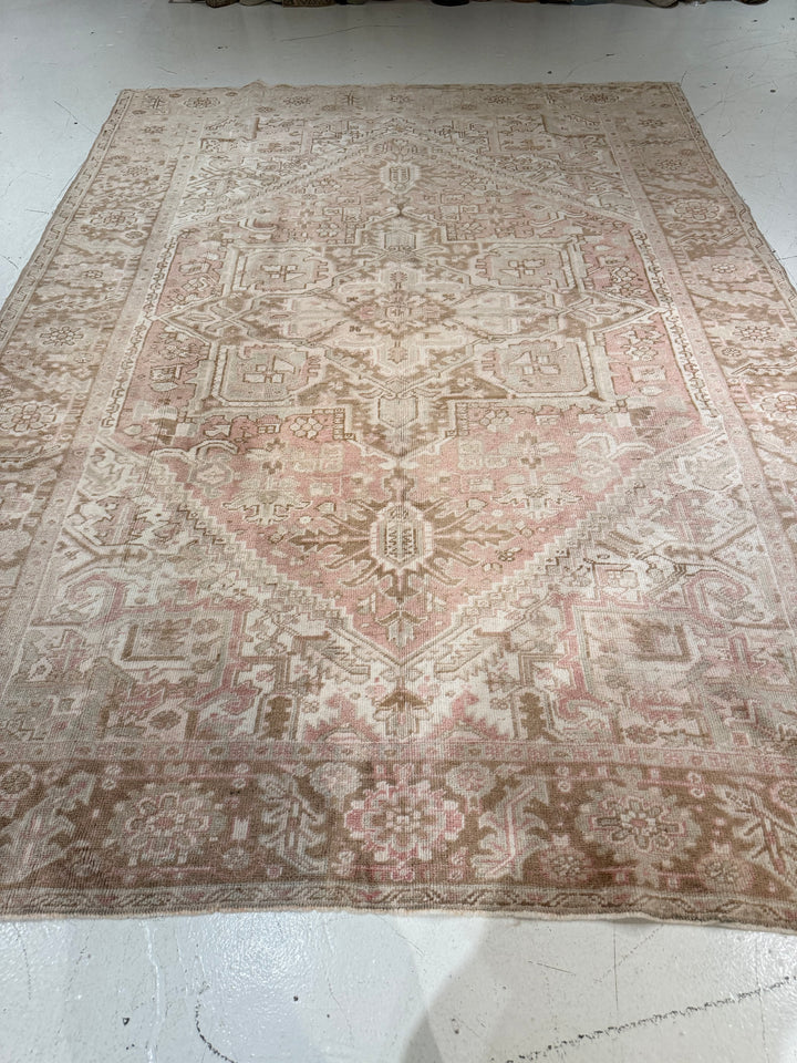 Anatolian 8.0x11.0 - LillieKat Rugs