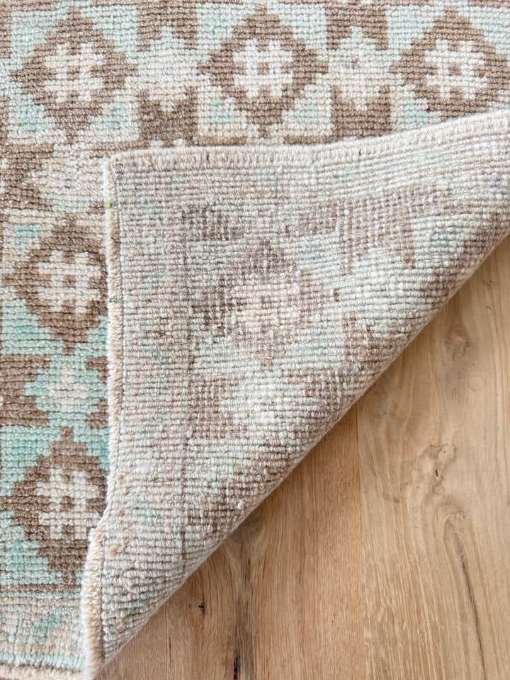 Anatolian Runner 2.8x7.1