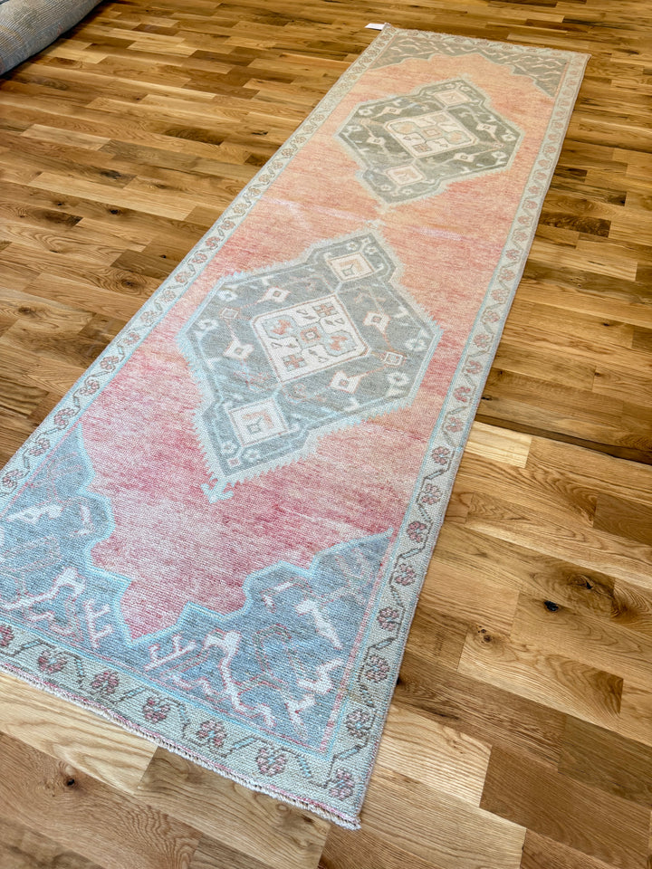Anatolian Runner 3.4x10.11 - LillieKat Rugs