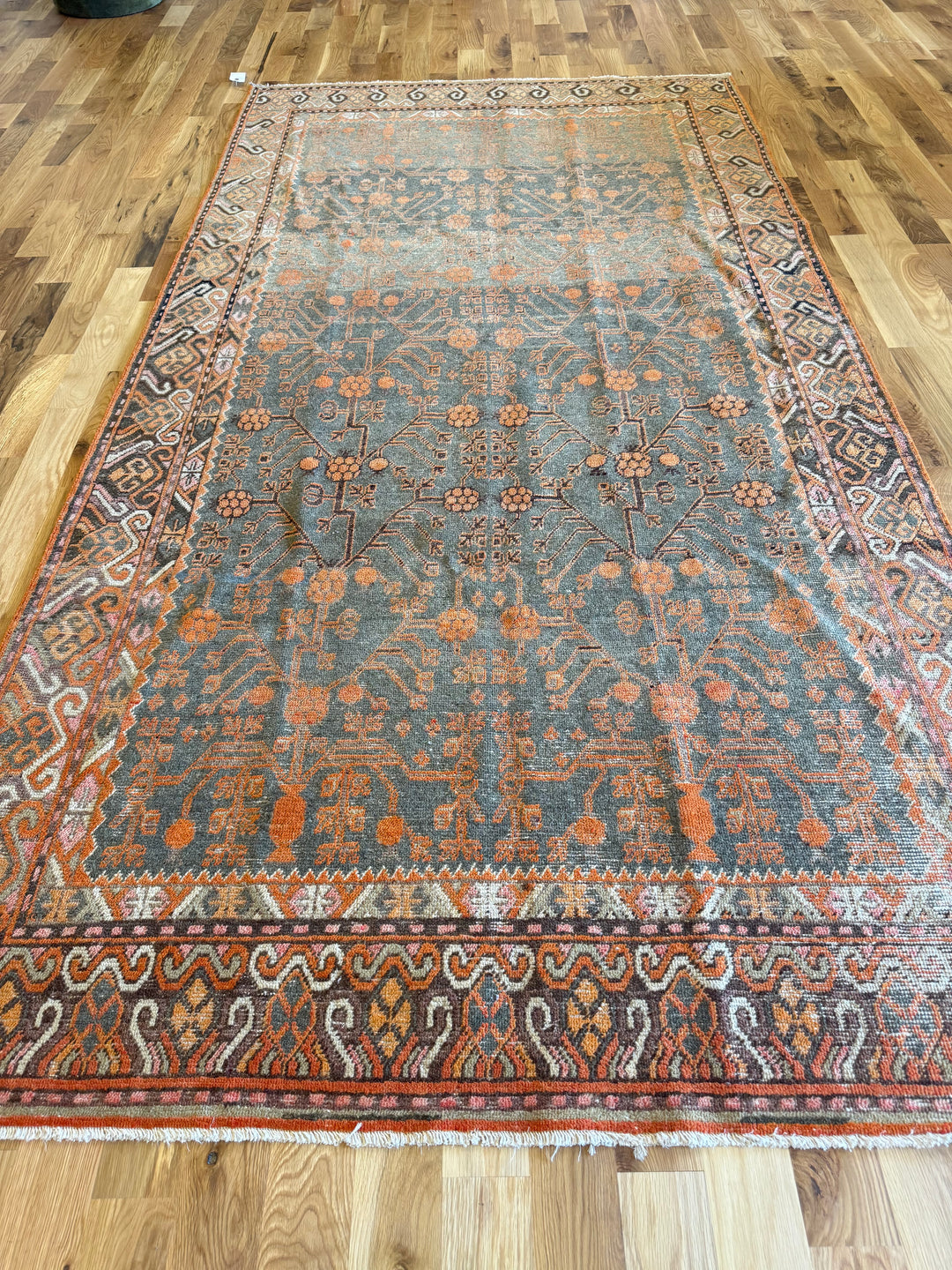 Khotan Gallery Runner 5.9x11.0