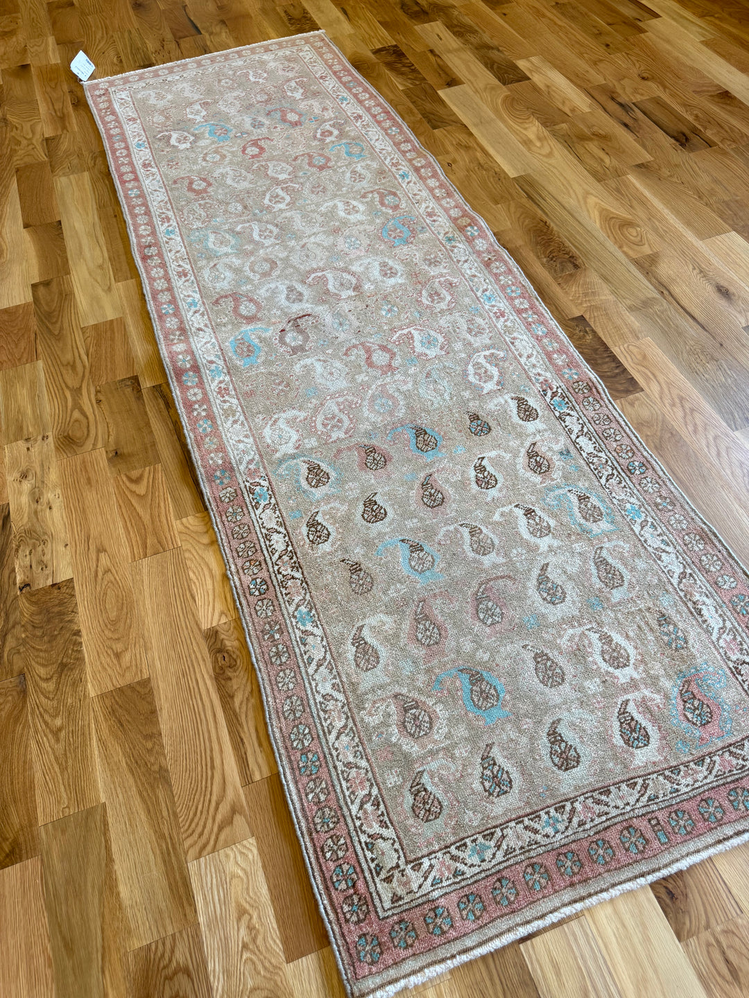 Sarab Runner 3.0x9.1