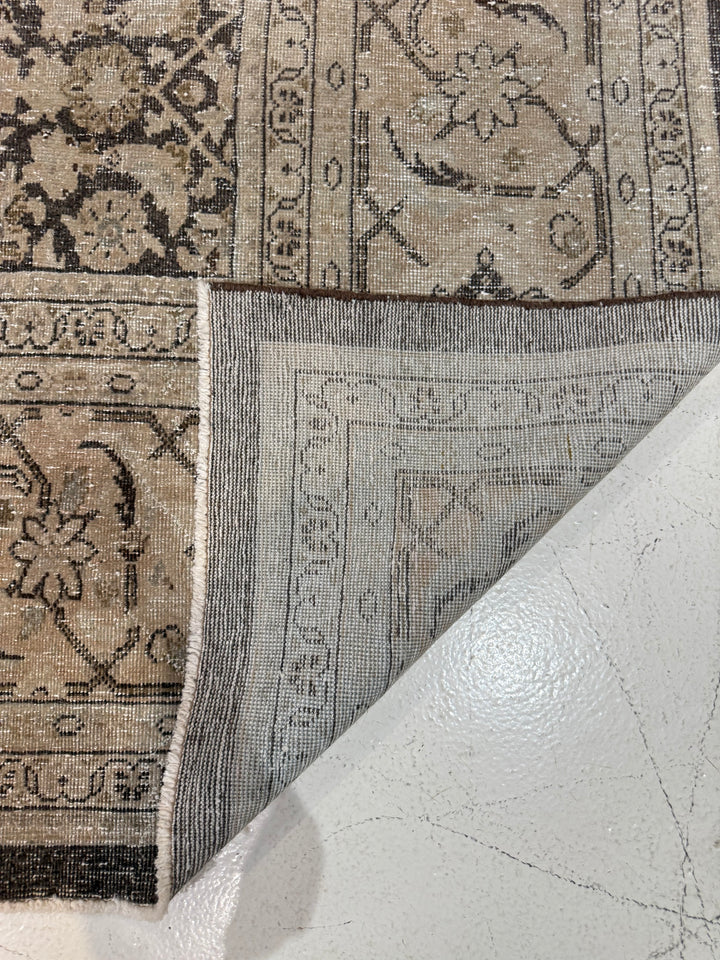 Malayer 10.3x13.5