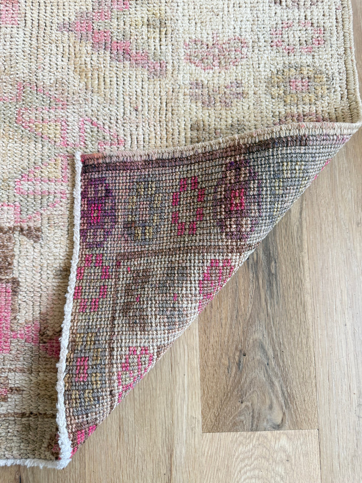 Anatolian Runner 2.8x14.2