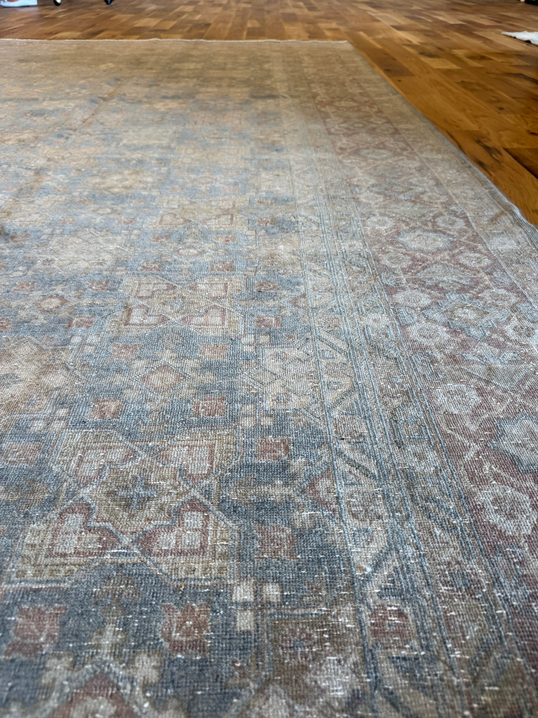 Sivas 8.3x10.7