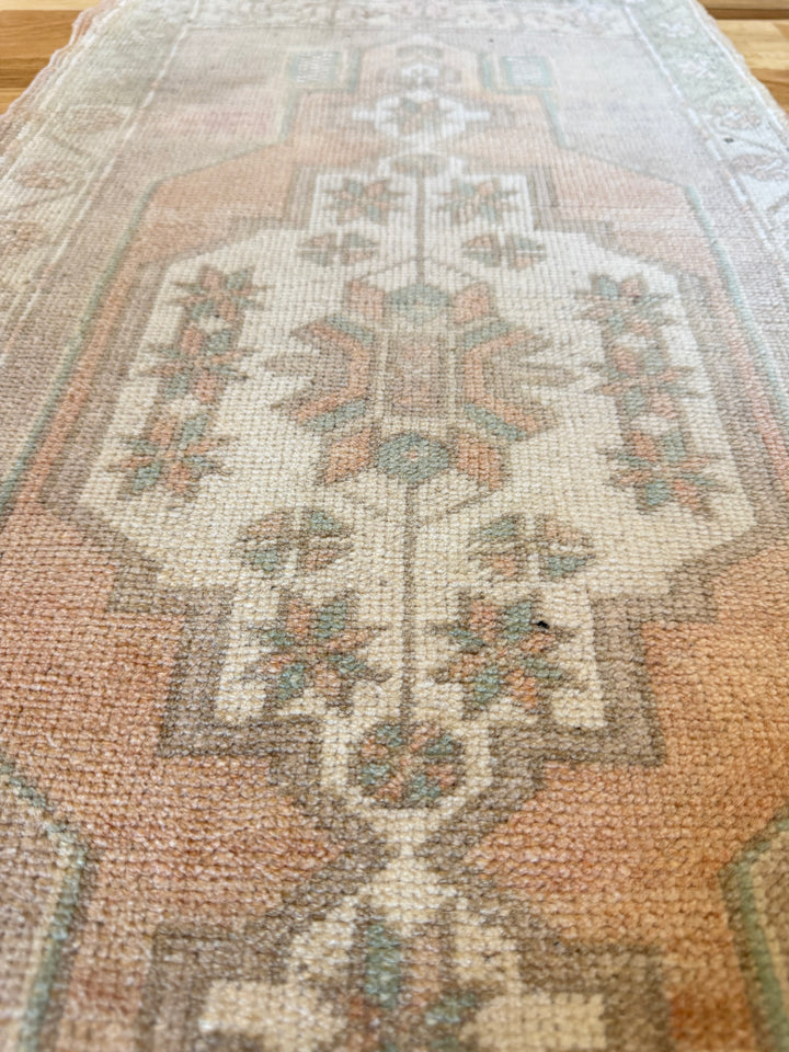 Yastik 1.7x3.3 - LillieKat Rugs
