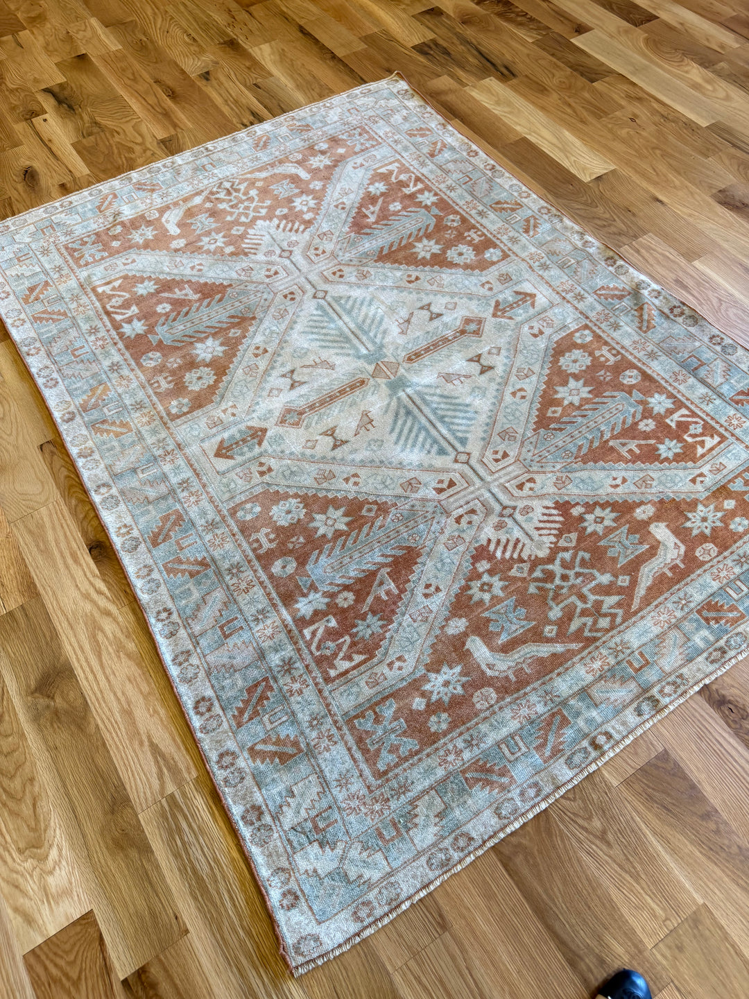 Caucasian (Persian) 4.4x5.9