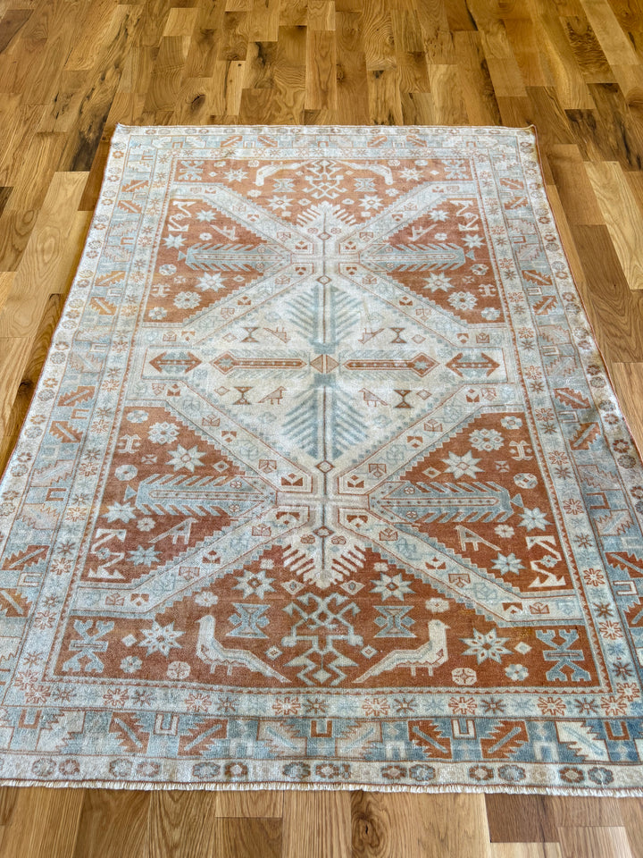 Caucasian (Persian) 4.4x5.9