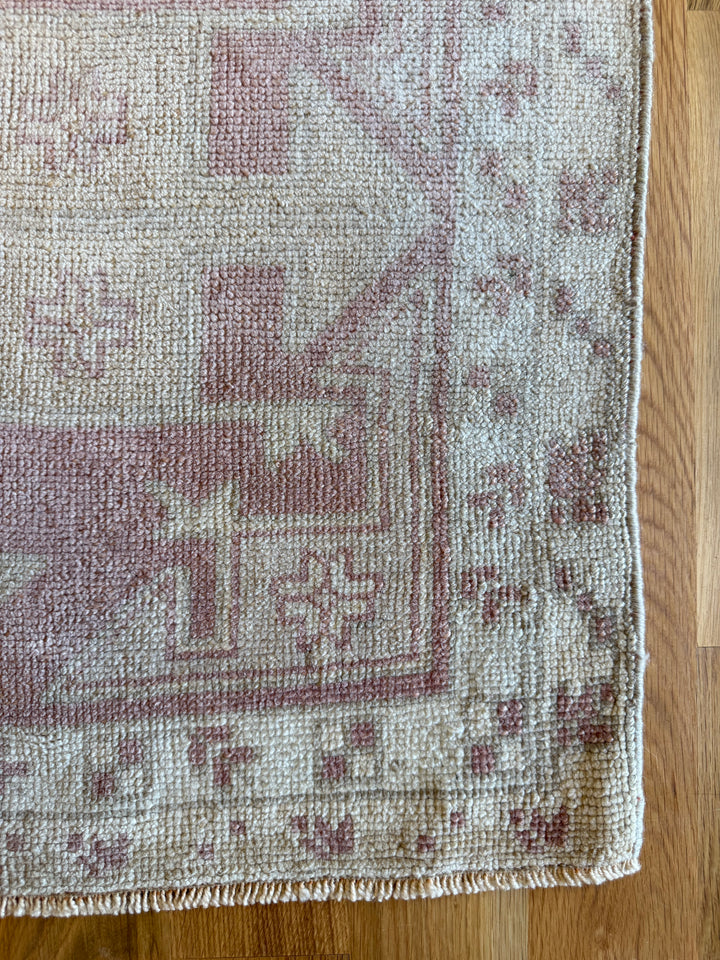 Anatolian Runner 2.9x9.5