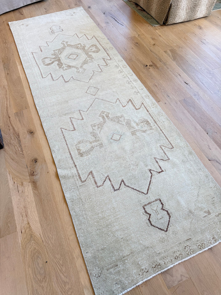 Anatolian Runner 3.0x9.7
