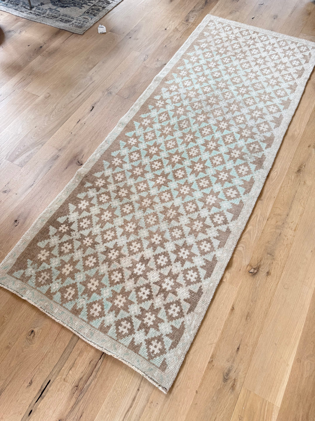 Anatolian Runner 2.8x7.1