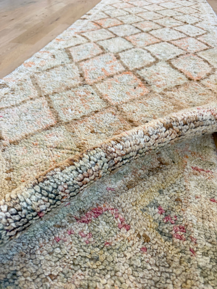 Anatolian Runner 2.8x14.1