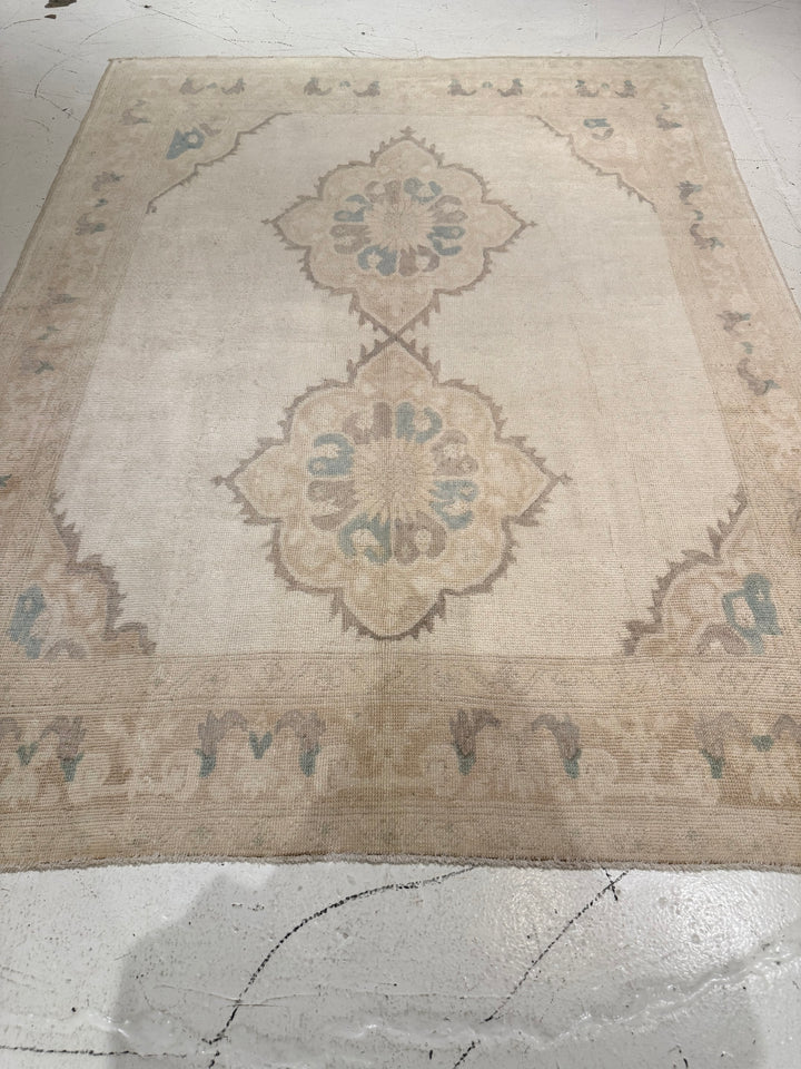Medium Rugs – LillieKat Rugs