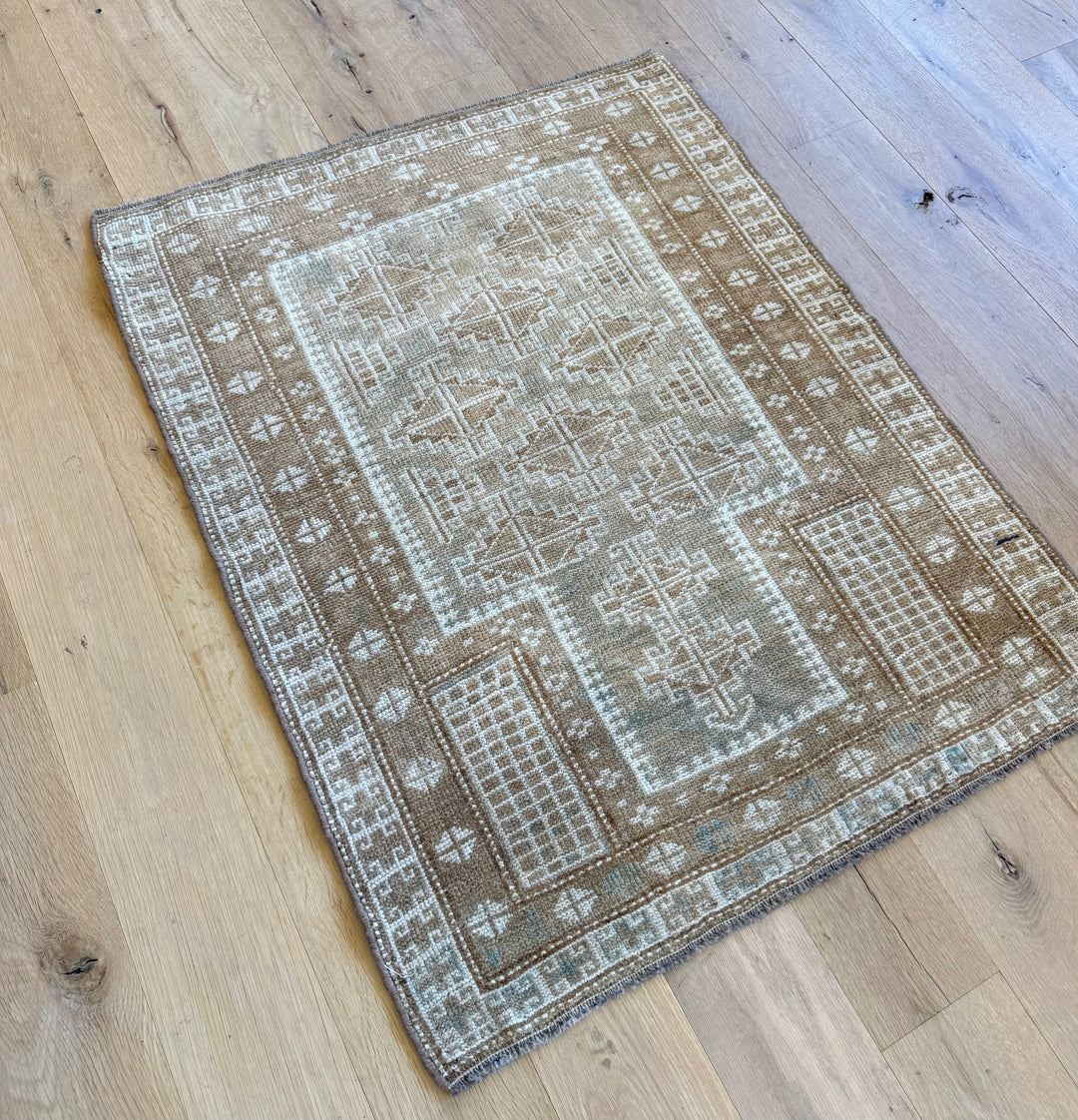 Beluch 2.7x3.3 - LillieKat Rugs