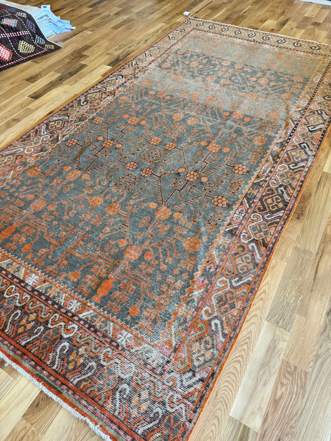 Khotan Gallery Runner 5.9x11.0