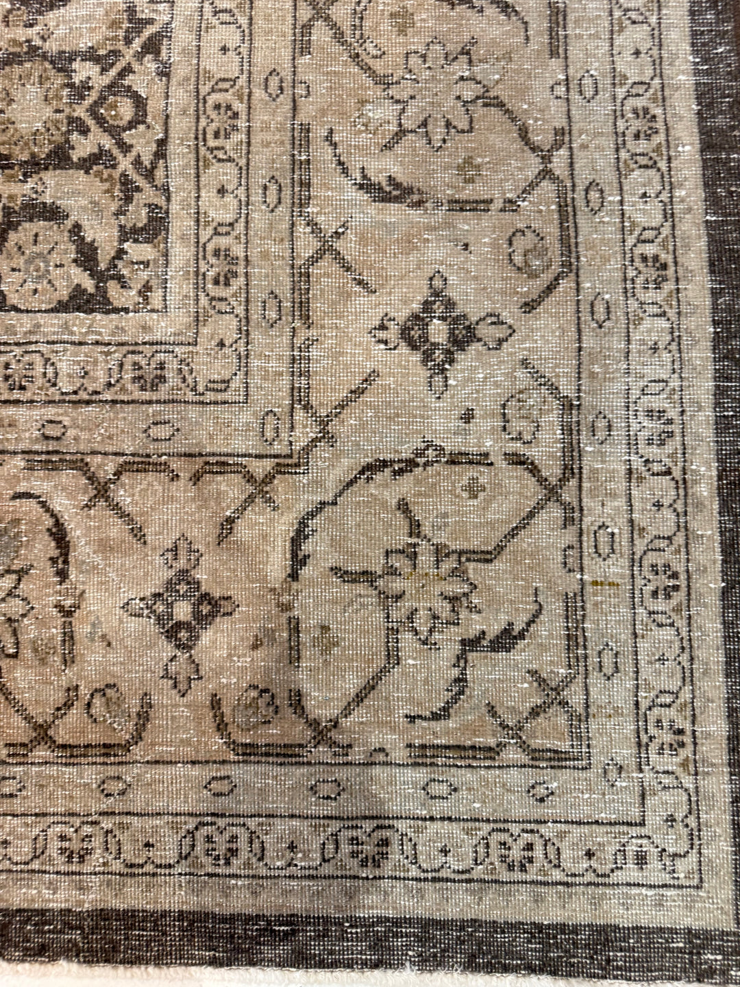 Malayer 10.3x13.5