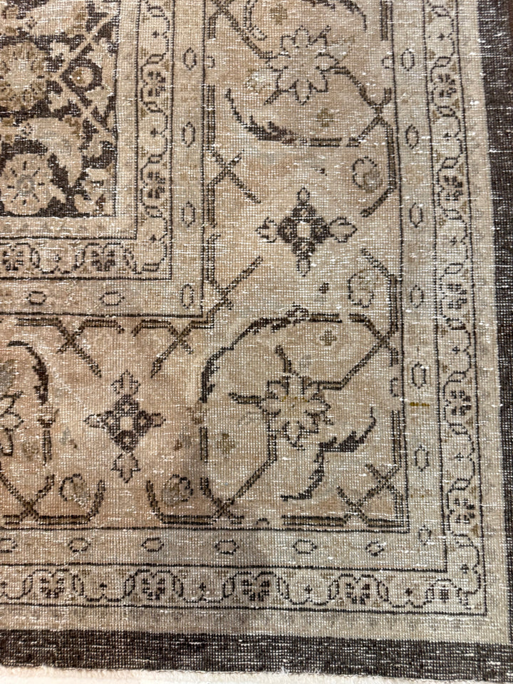 Malayer 10.3x13.5