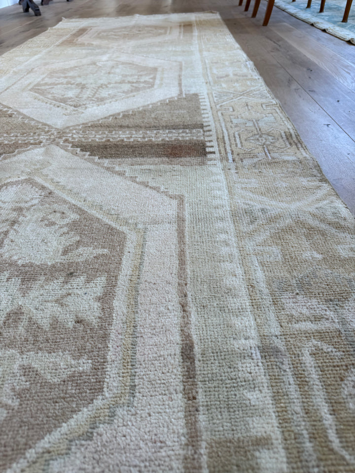 Anatolian Runner 3.5x10.5 - LillieKat Rugs