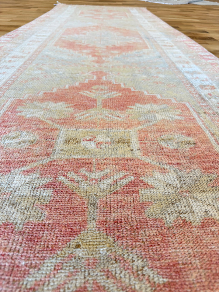 Anatolian Runner 3.2x10.2 - LillieKat Rugs