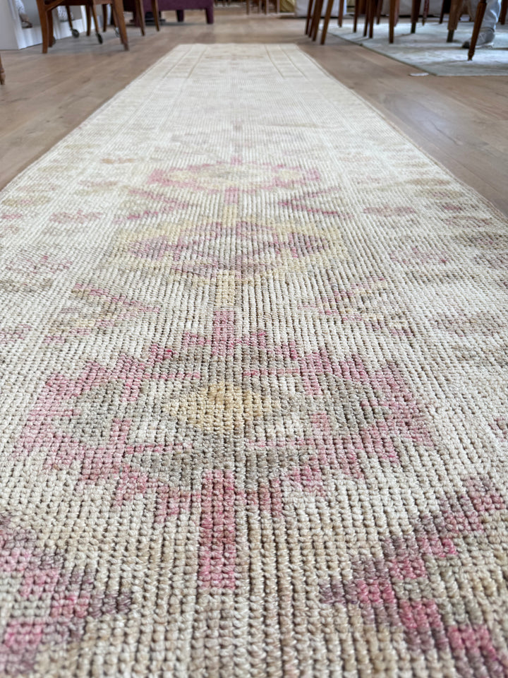 Anatolian Runner 2.8x14.2