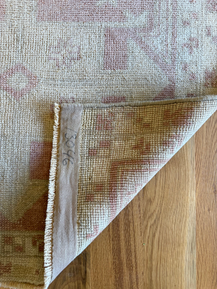 Anatolian Runner 2.9x9.5