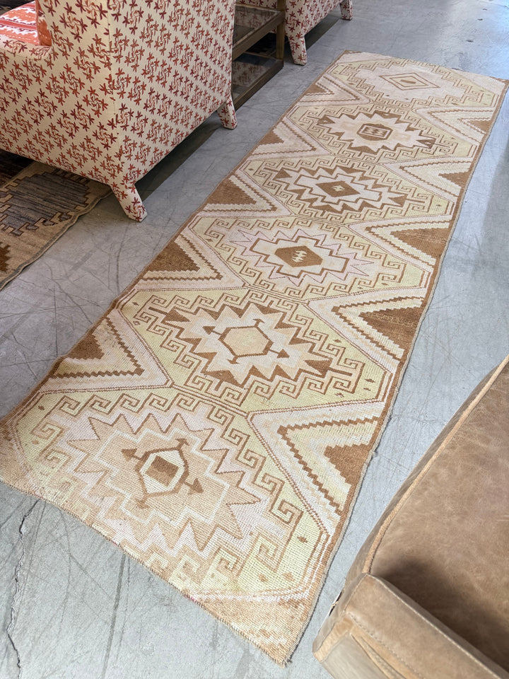 Anatolian Runner 3.1x9.7
