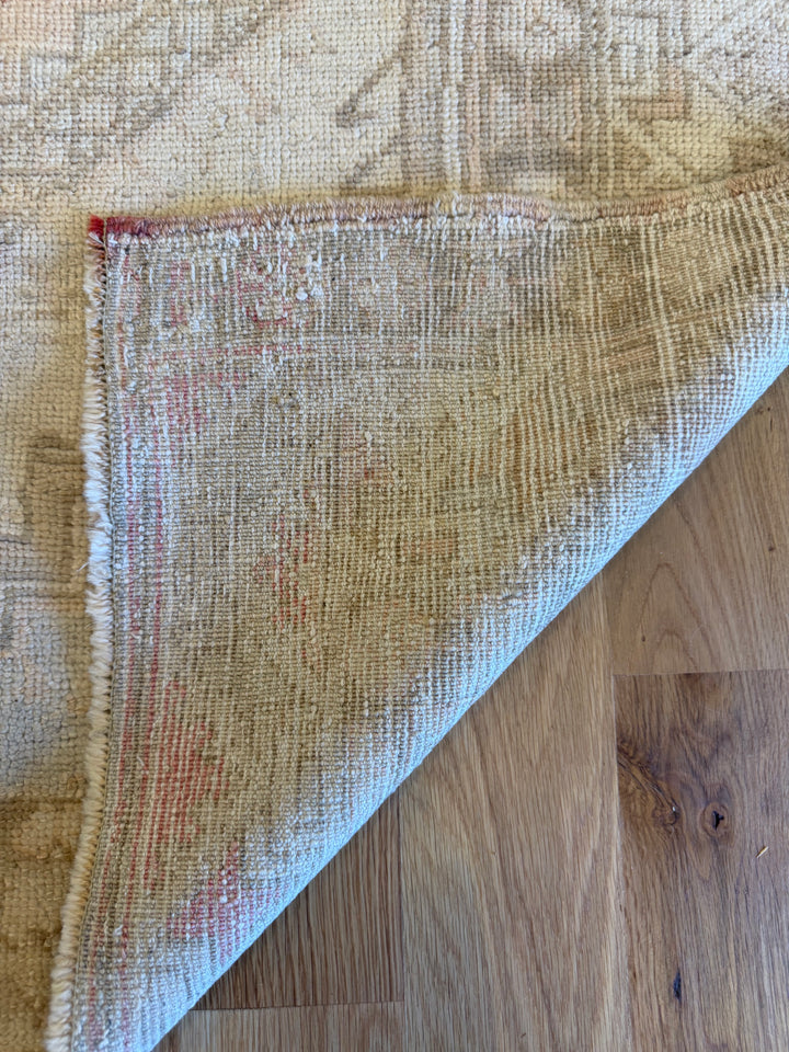 Anatolian 3.8x5.9 - LillieKat Rugs