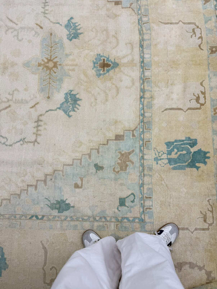 Anatolian 9.1x11.9 - LillieKat Rugs