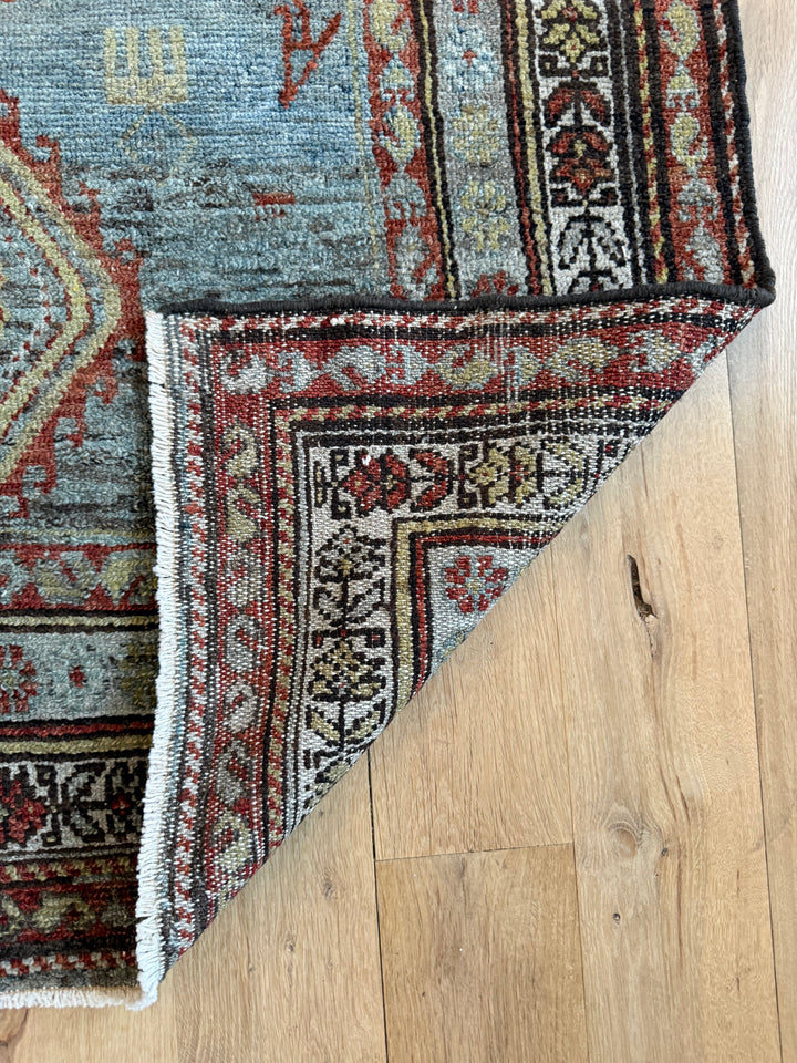 Hamadan Runner 3.11x9.0 - LillieKat Rugs