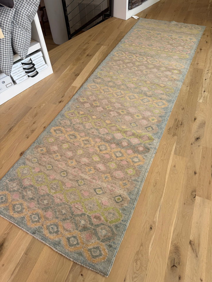 Oushak Runner 3.3x11.2 - LillieKat Rugs