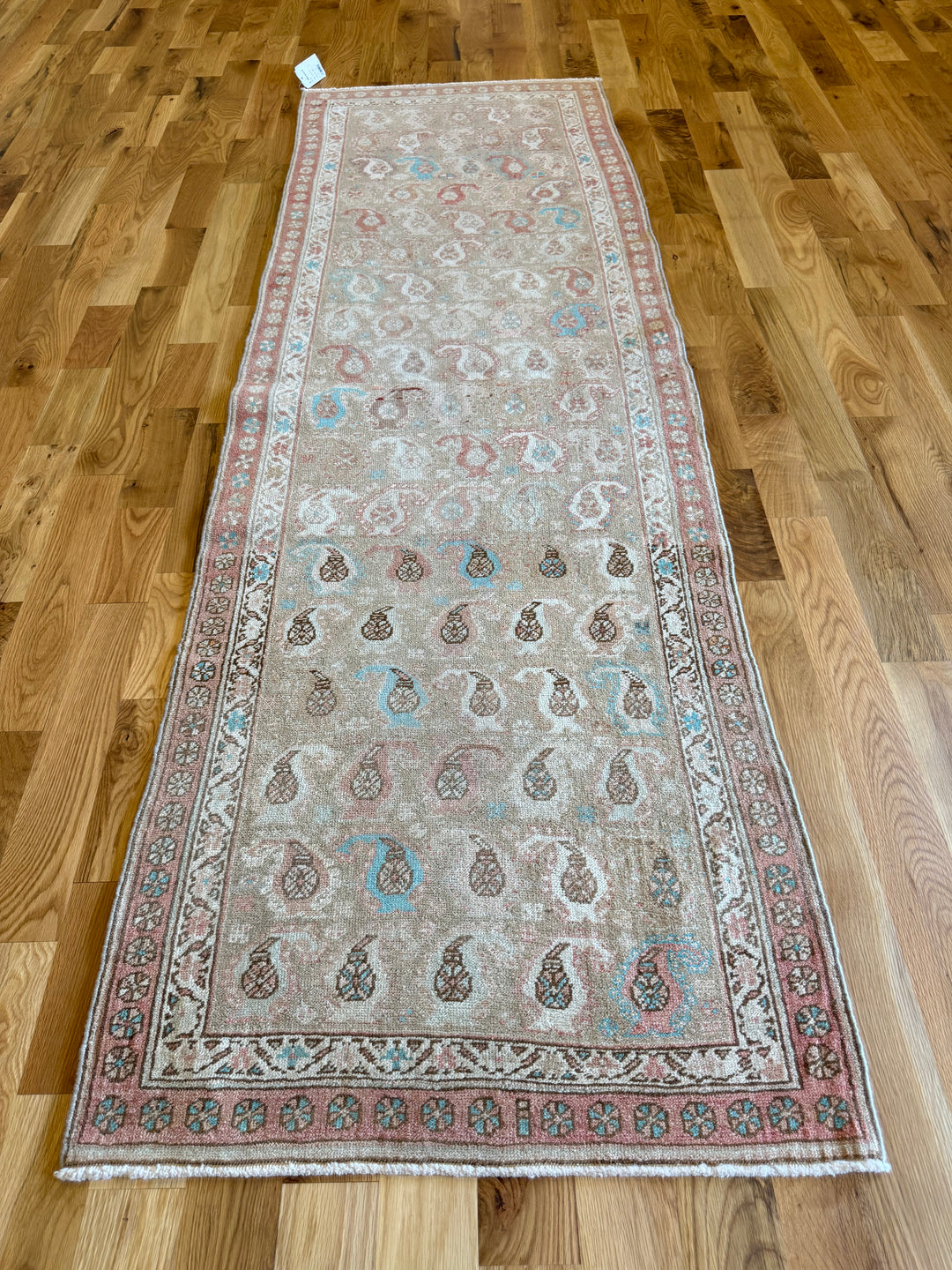 Sarab Runner 3.0x9.1