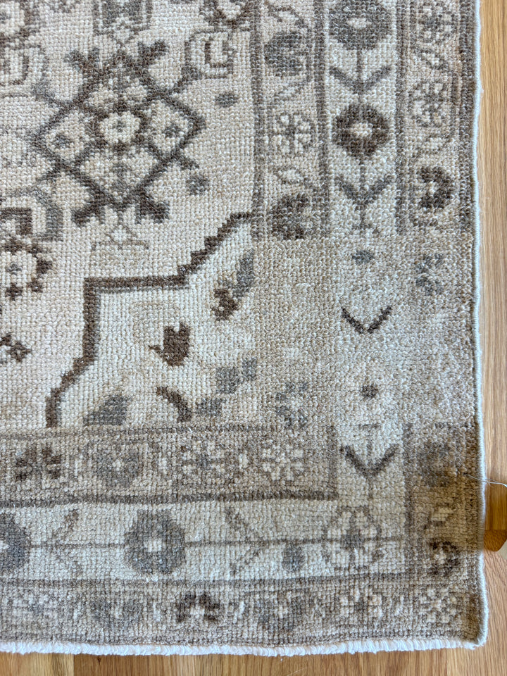 Malayer (Hamadan) Runner 3.5x9.10