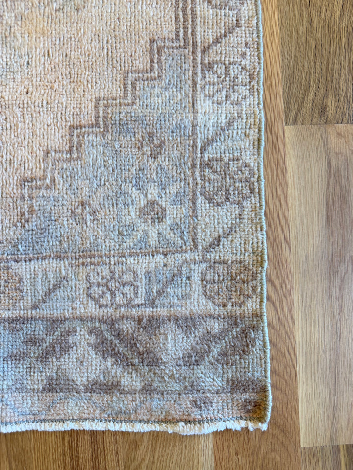 Anatolian Runner 1.11x9.6 - LillieKat Rugs