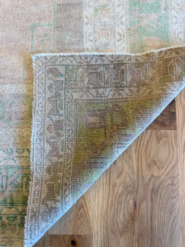 Anatolian 4.7x8.4 - LillieKat Rugs