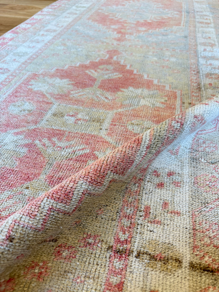 Anatolian Runner 3.2x10.2 - LillieKat Rugs