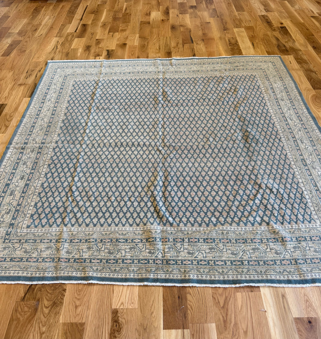 Mir (Persian) 6.5x6.7