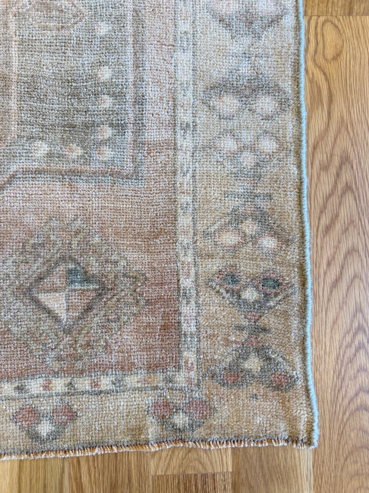 Anatolian Runner 3.8x9.7 - LillieKat Rugs