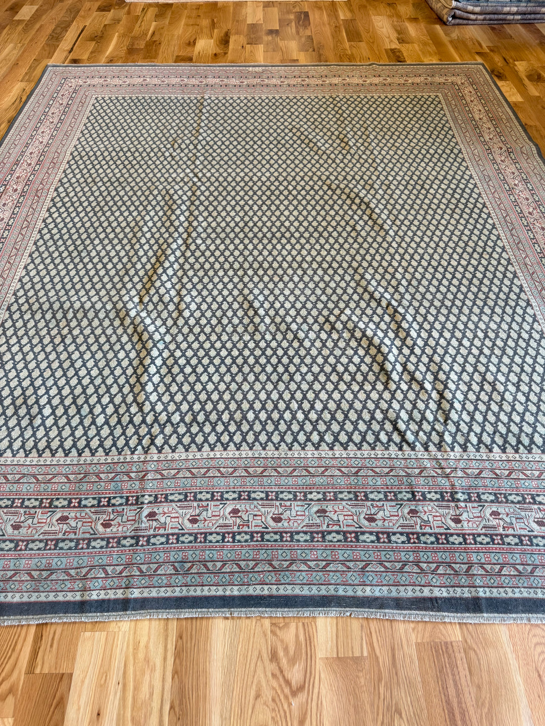 Mir (Persian) 8.2x9.6