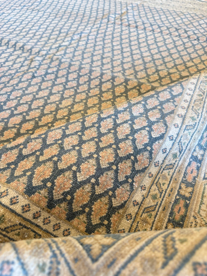 Mir (Persian) 6.5x6.7