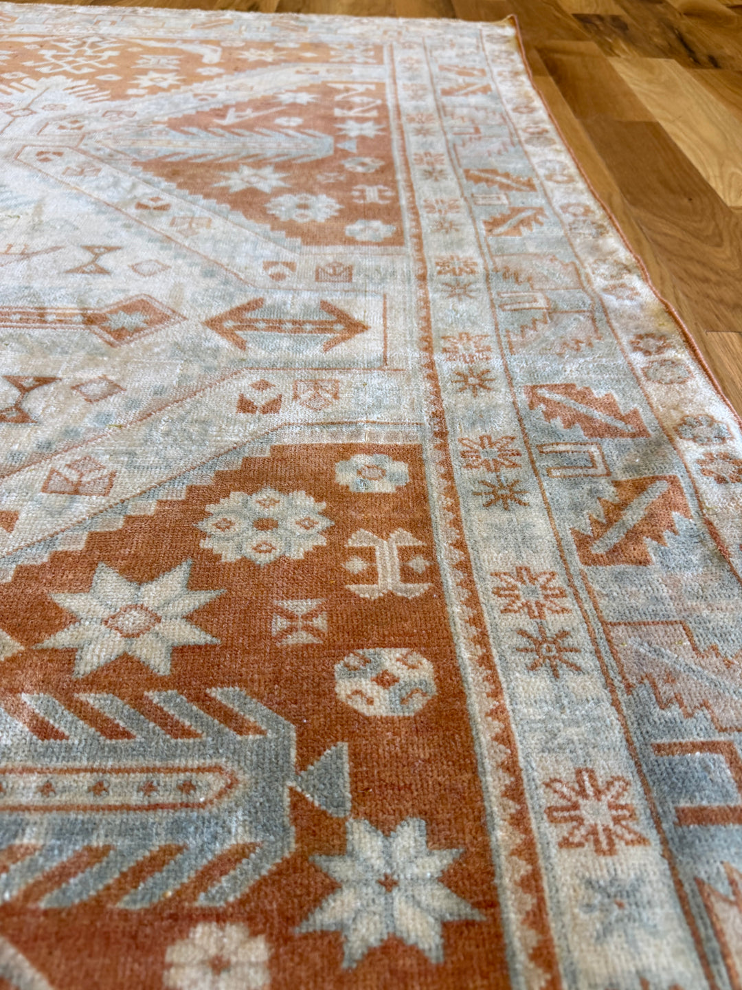 Caucasian (Persian) 4.4x5.9