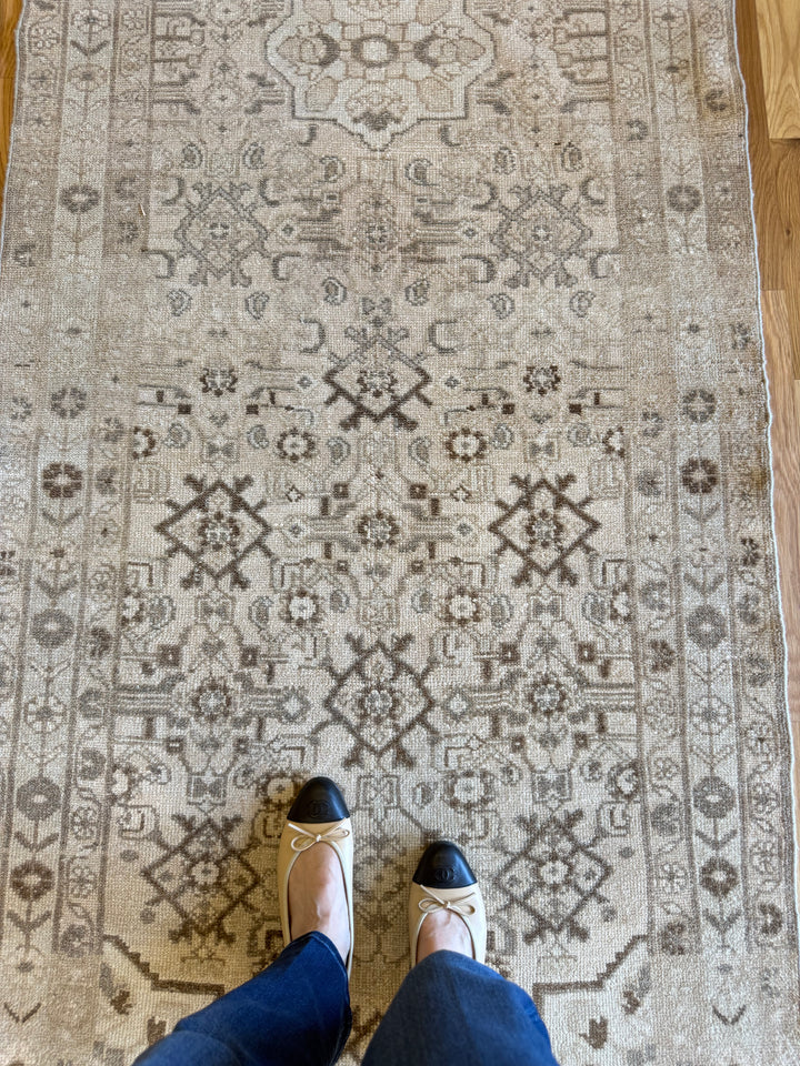 Malayer (Hamadan) Runner 3.5x9.10