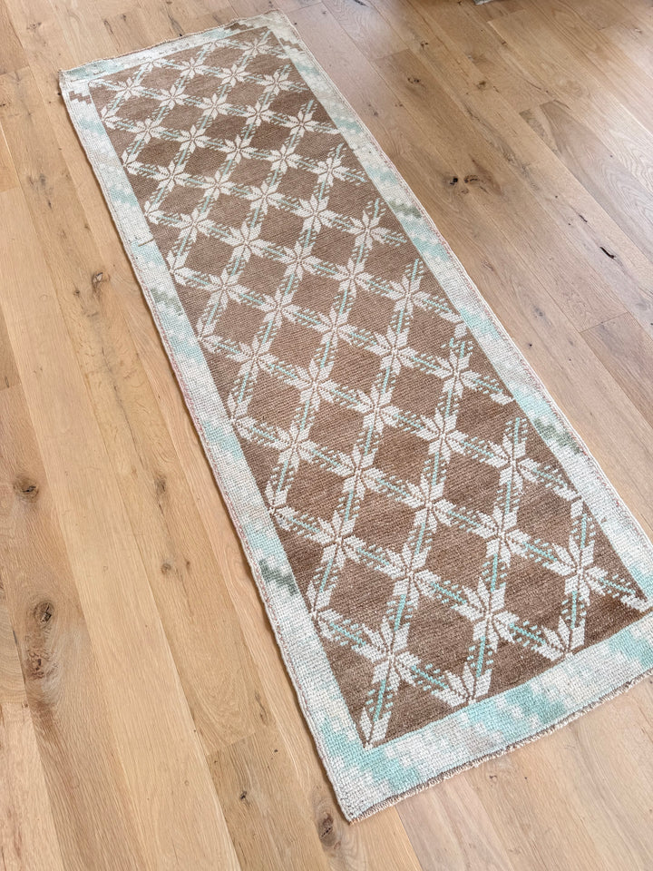Anatolian Runner 2.4x6.8
