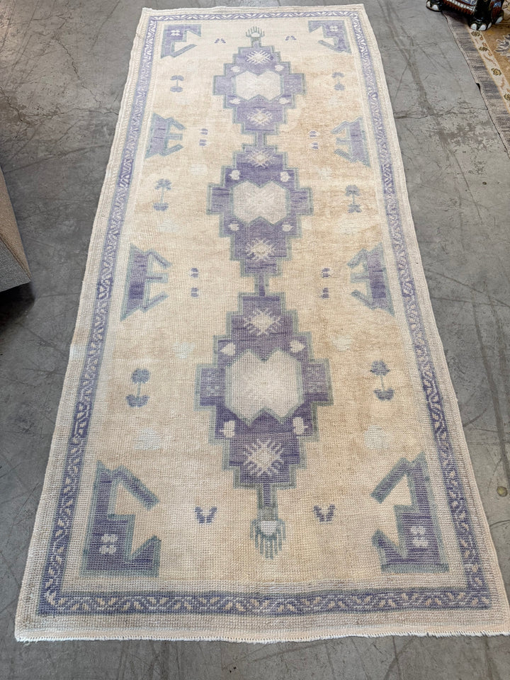 Anatolian Runner 3.5x8.2